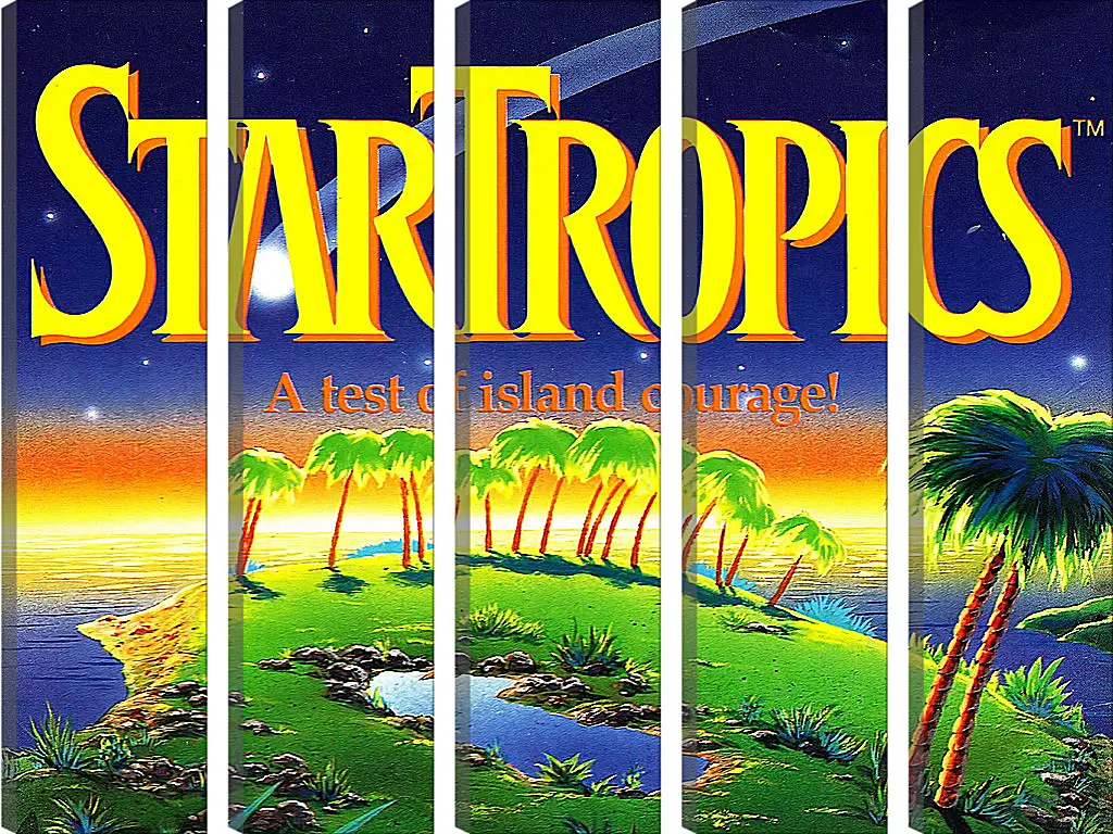 Модульная картина - Star Tropics
