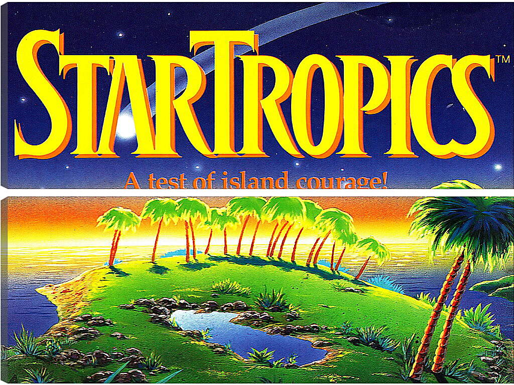 Модульная картина - Star Tropics
