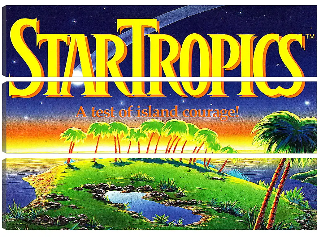 Модульная картина - Star Tropics
