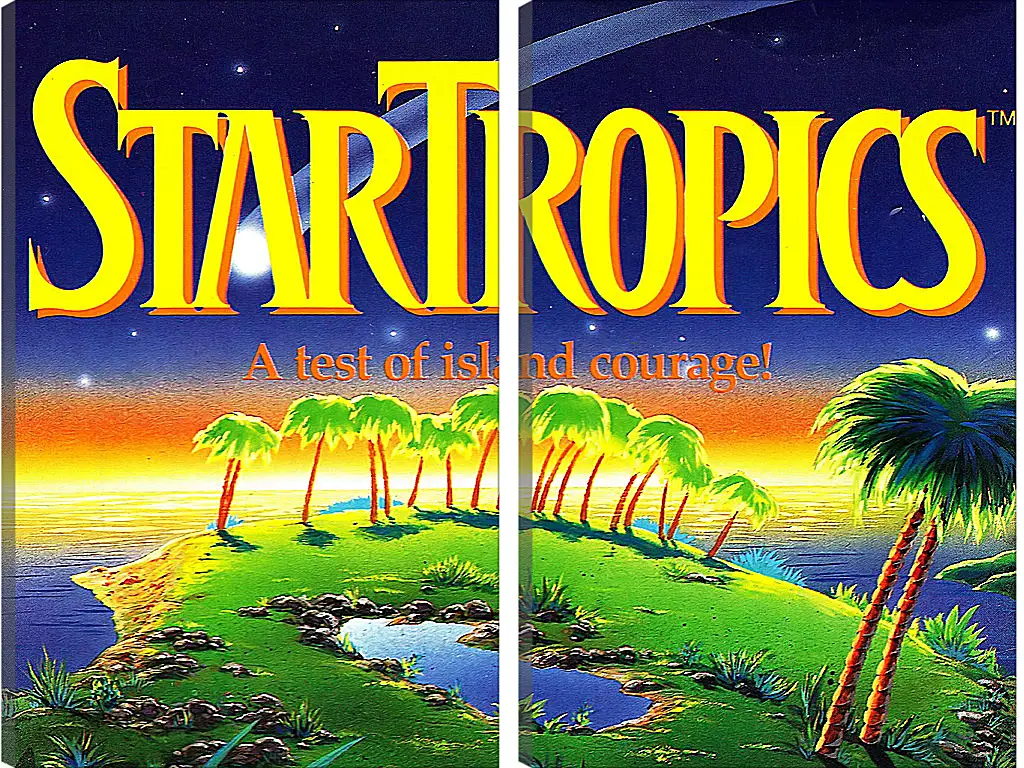 Модульная картина - Star Tropics
