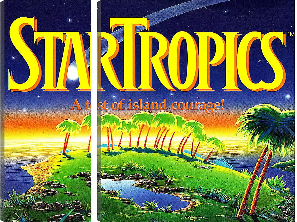 Модульная картина - Star Tropics
