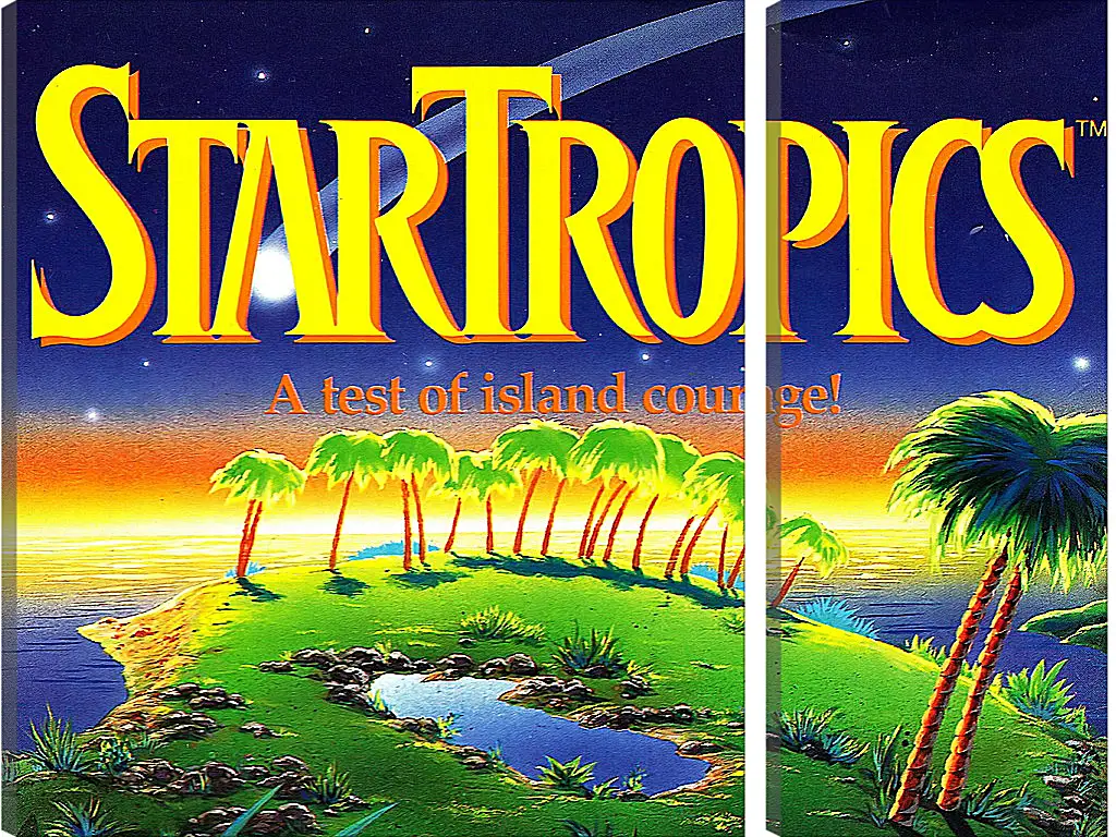 Модульная картина - Star Tropics
