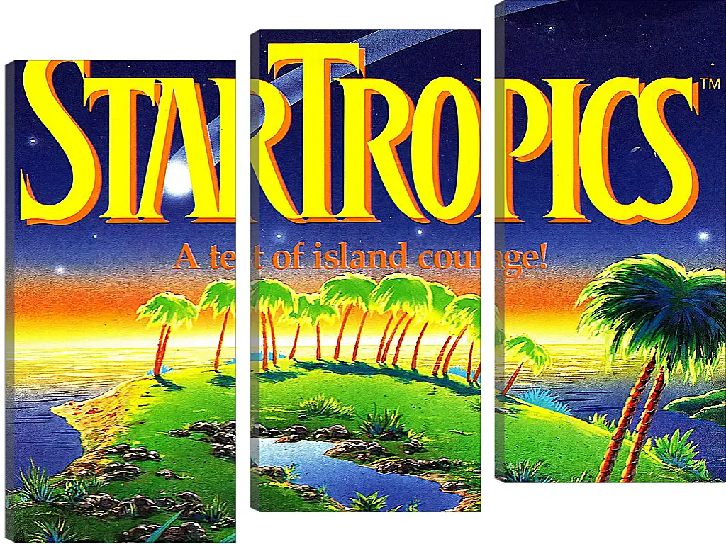 Модульная картина - Star Tropics
