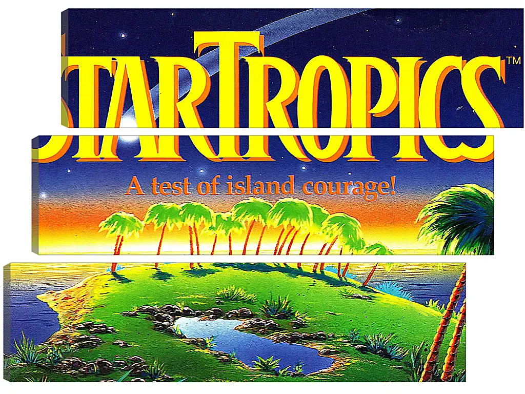 Модульная картина - Star Tropics
