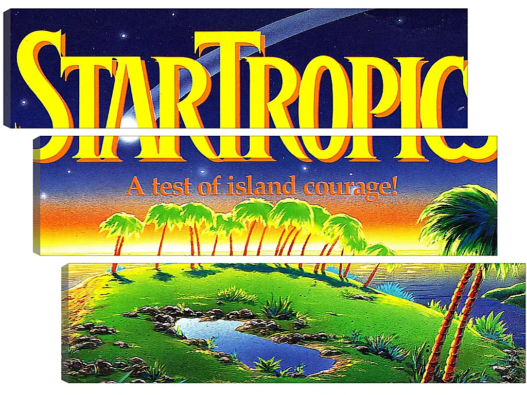 Модульная картина - Star Tropics
