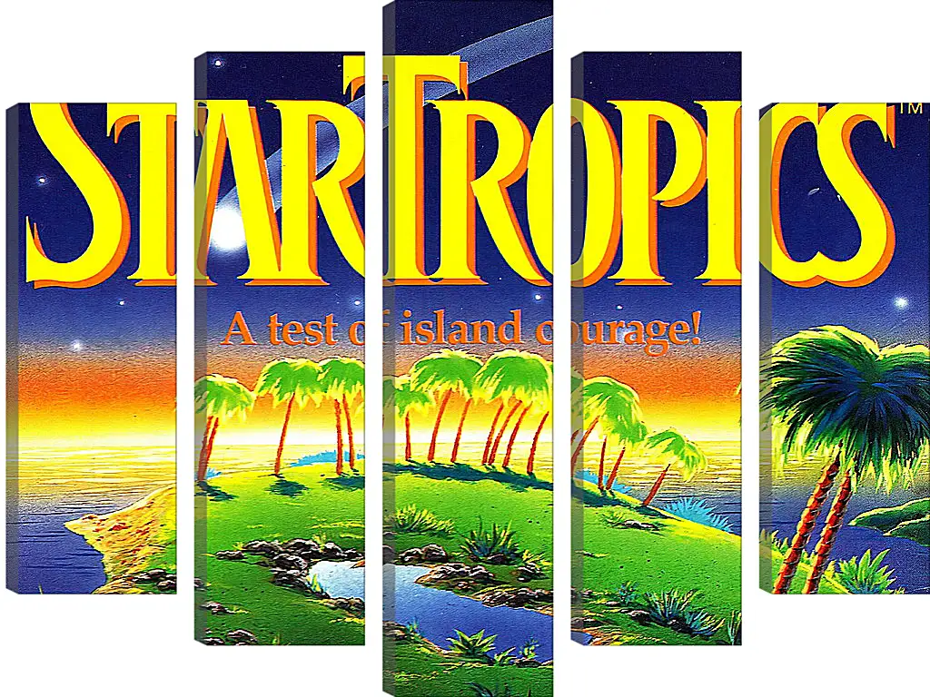 Модульная картина - Star Tropics
