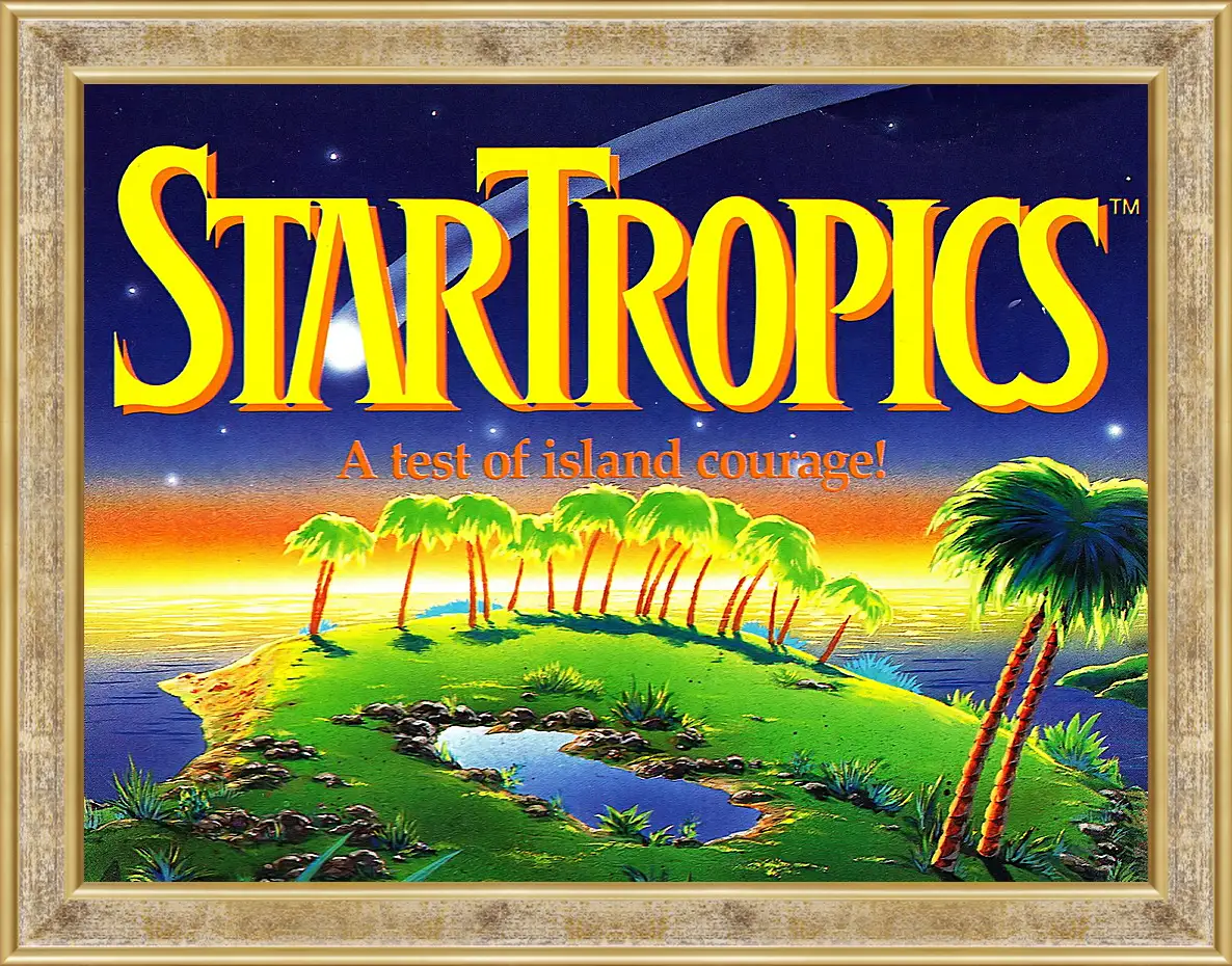 Картина в раме - Star Tropics
