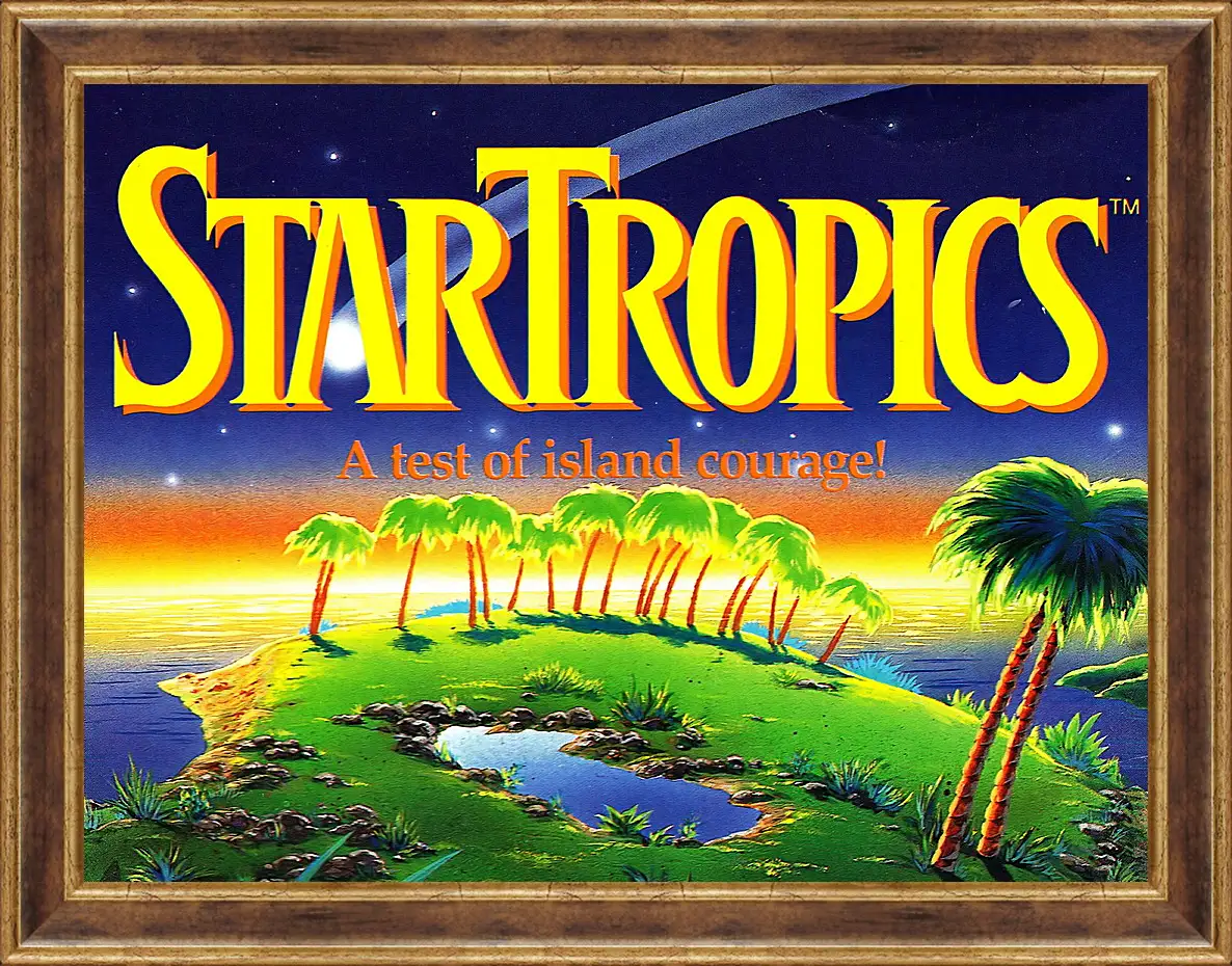 Картина в раме - Star Tropics
