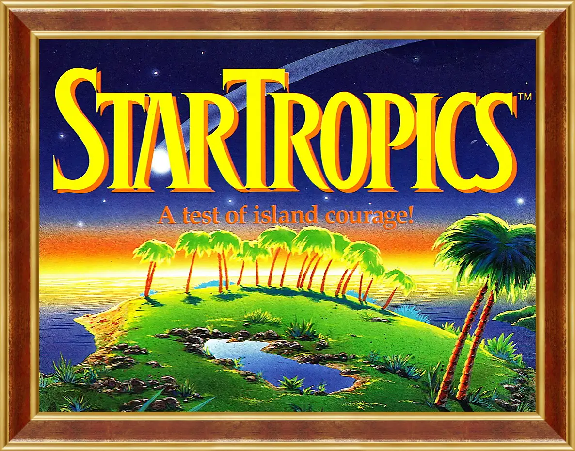 Картина в раме - Star Tropics
