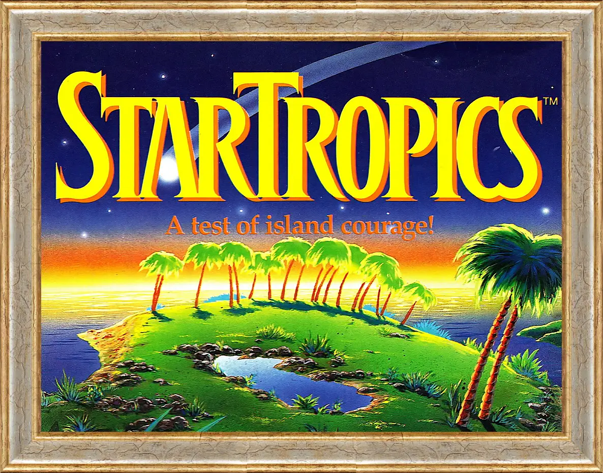 Картина в раме - Star Tropics
