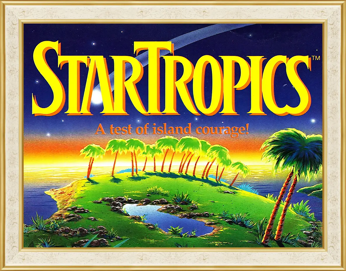 Картина в раме - Star Tropics
