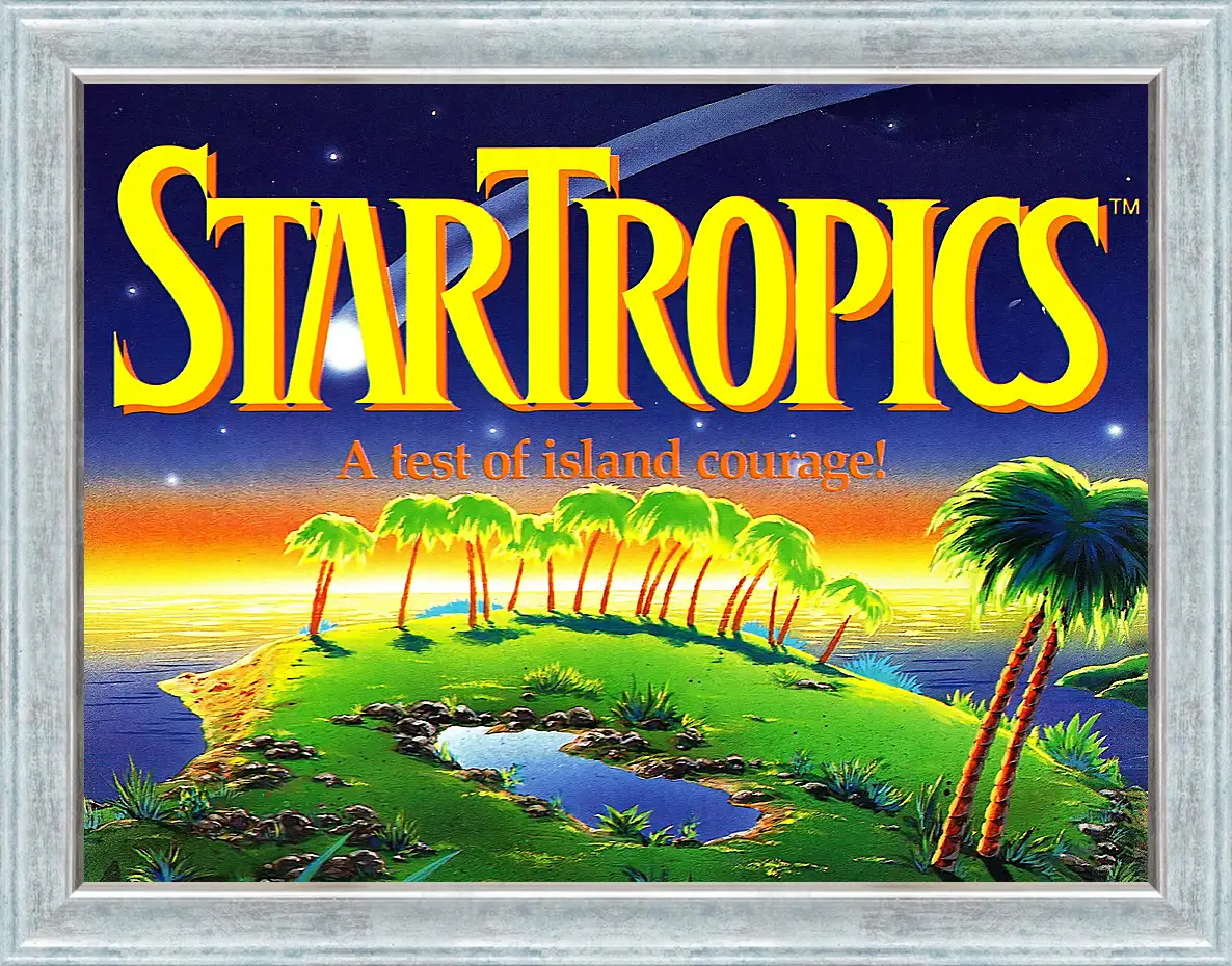 Картина в раме - Star Tropics
