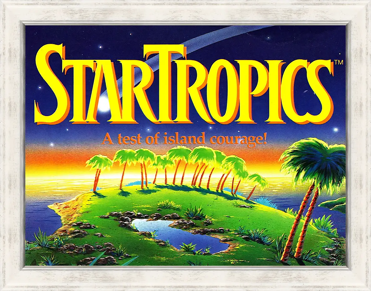 Картина в раме - Star Tropics
