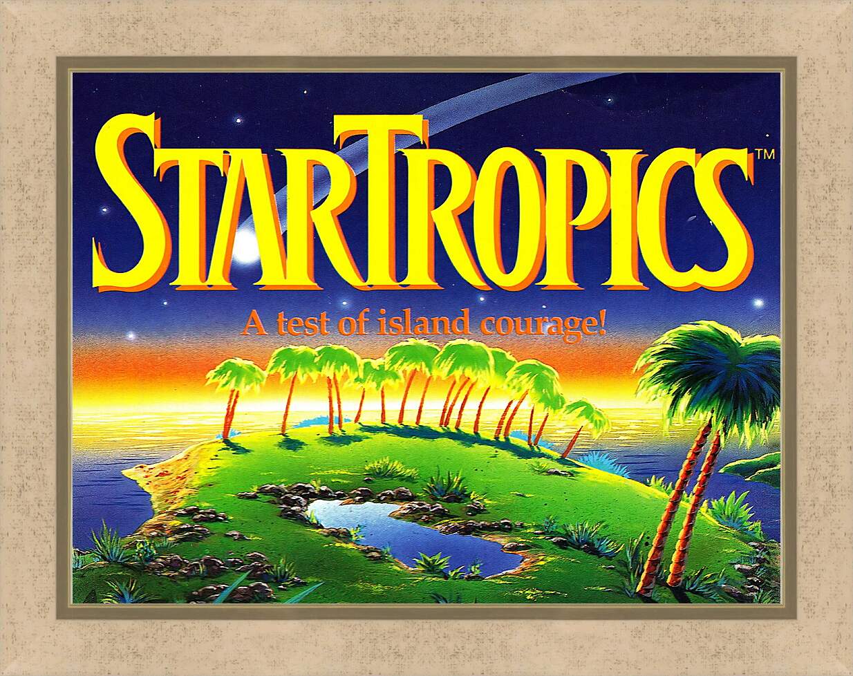 Картина в раме - Star Tropics
