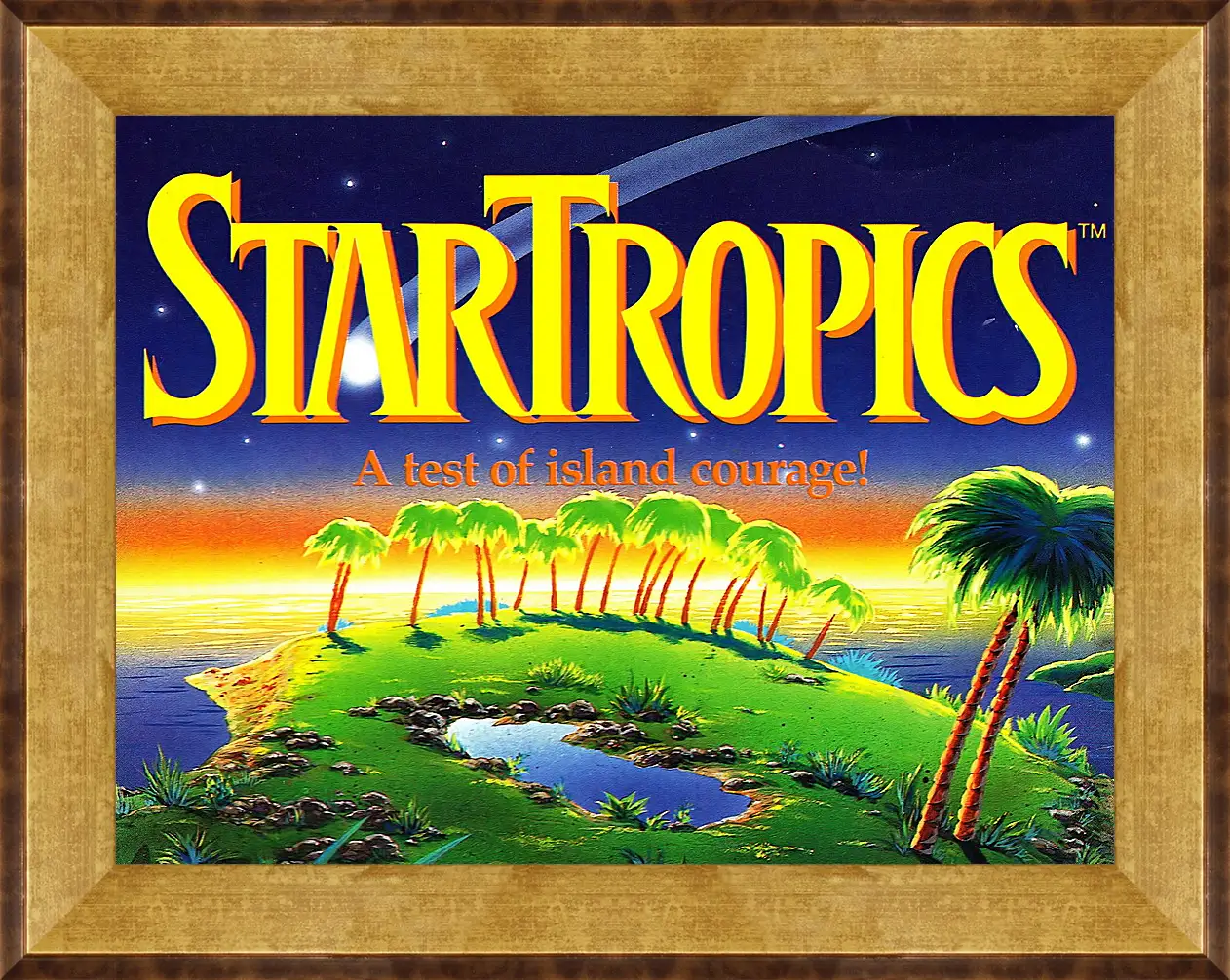 Картина в раме - Star Tropics
