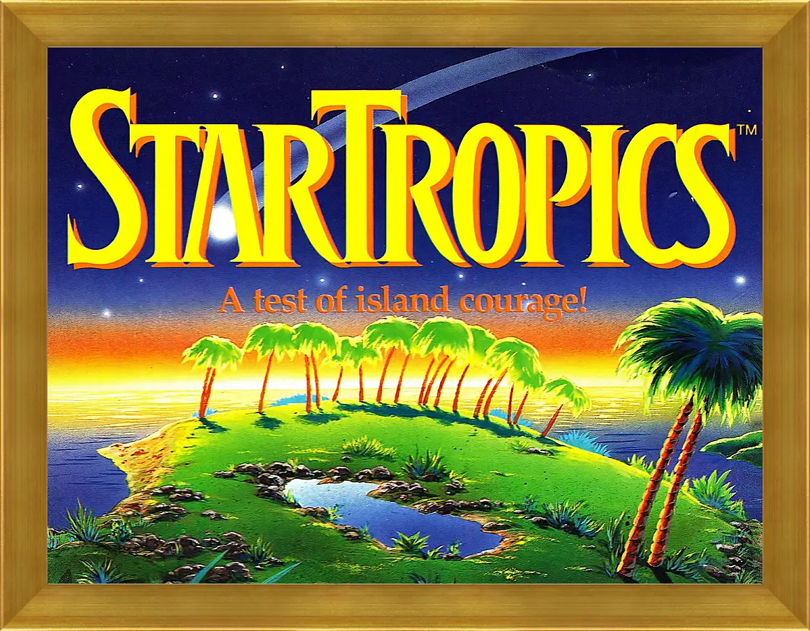 Картина в раме - Star Tropics
