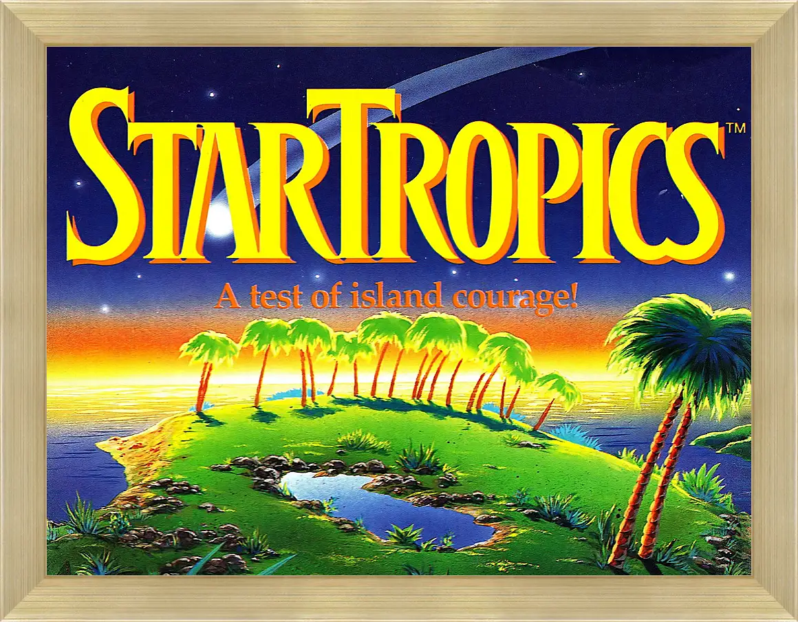 Картина в раме - Star Tropics
