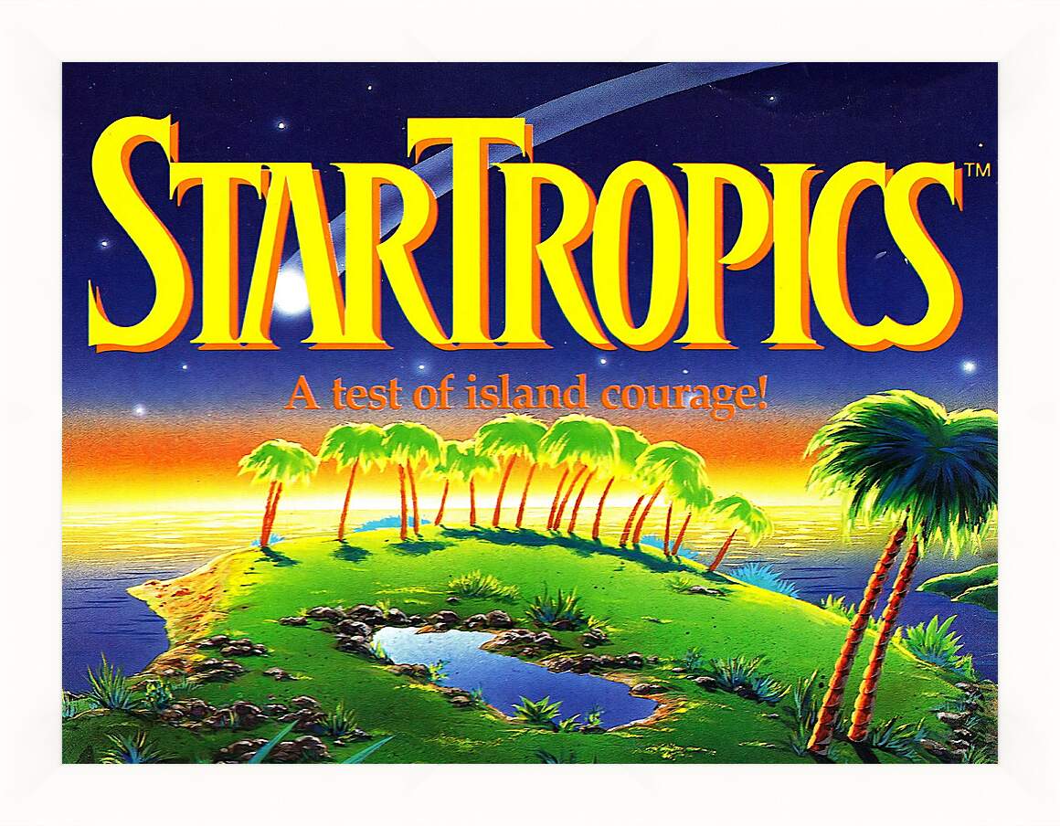 Картина в раме - Star Tropics
