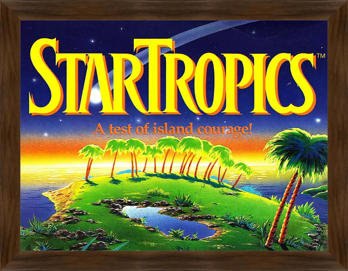 Картина в раме - Star Tropics
