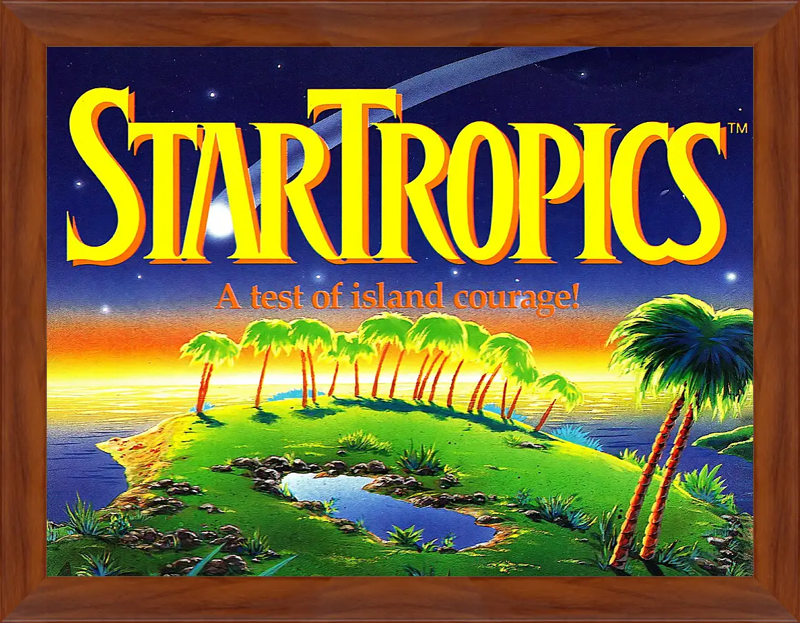 Картина в раме - Star Tropics
