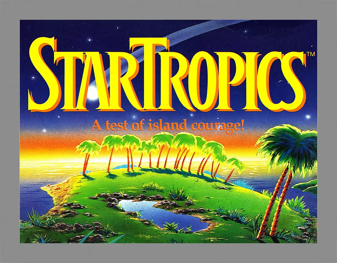 Картина в раме - Star Tropics
