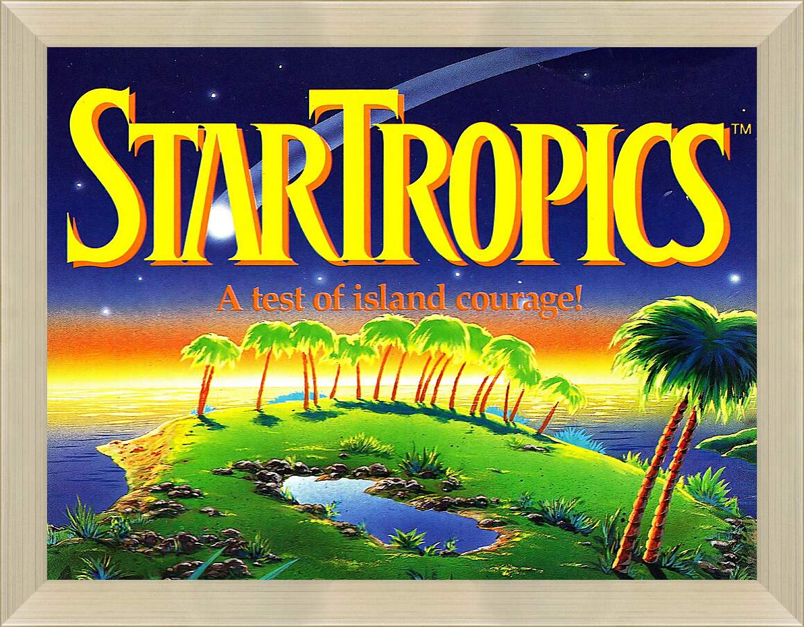 Картина в раме - Star Tropics
