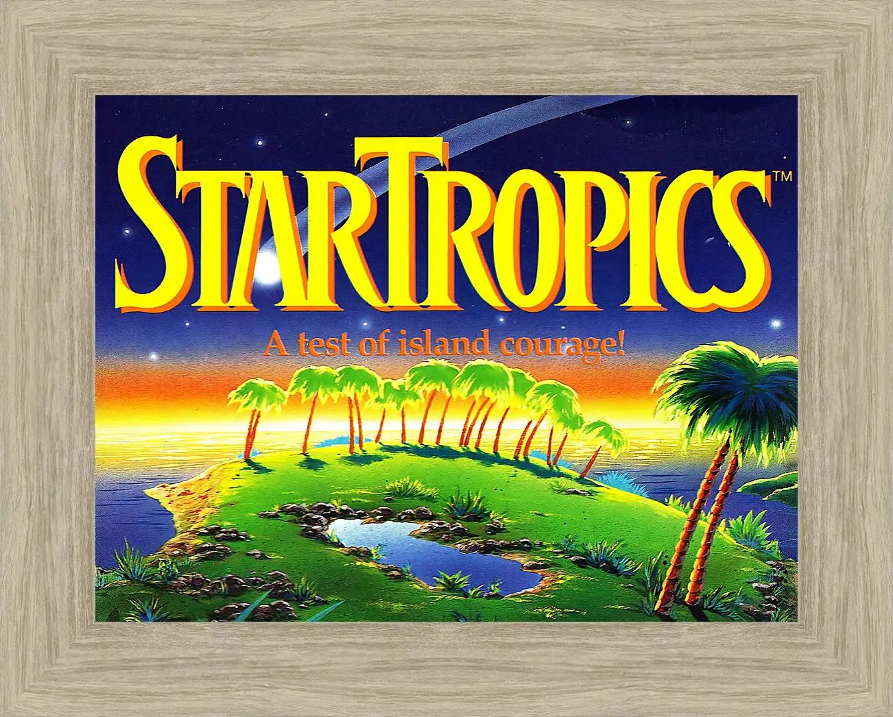 Картина в раме - Star Tropics
