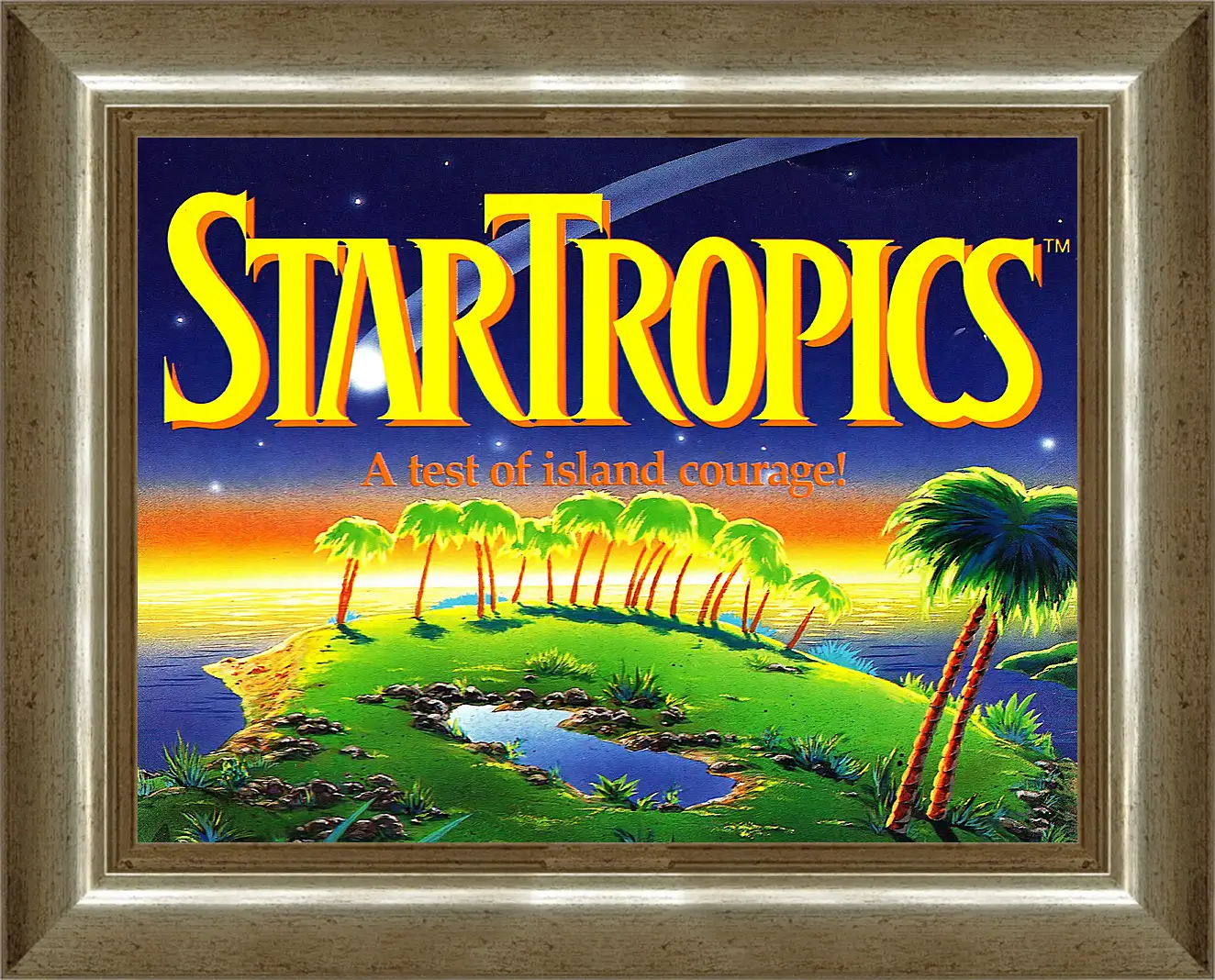 Картина в раме - Star Tropics
