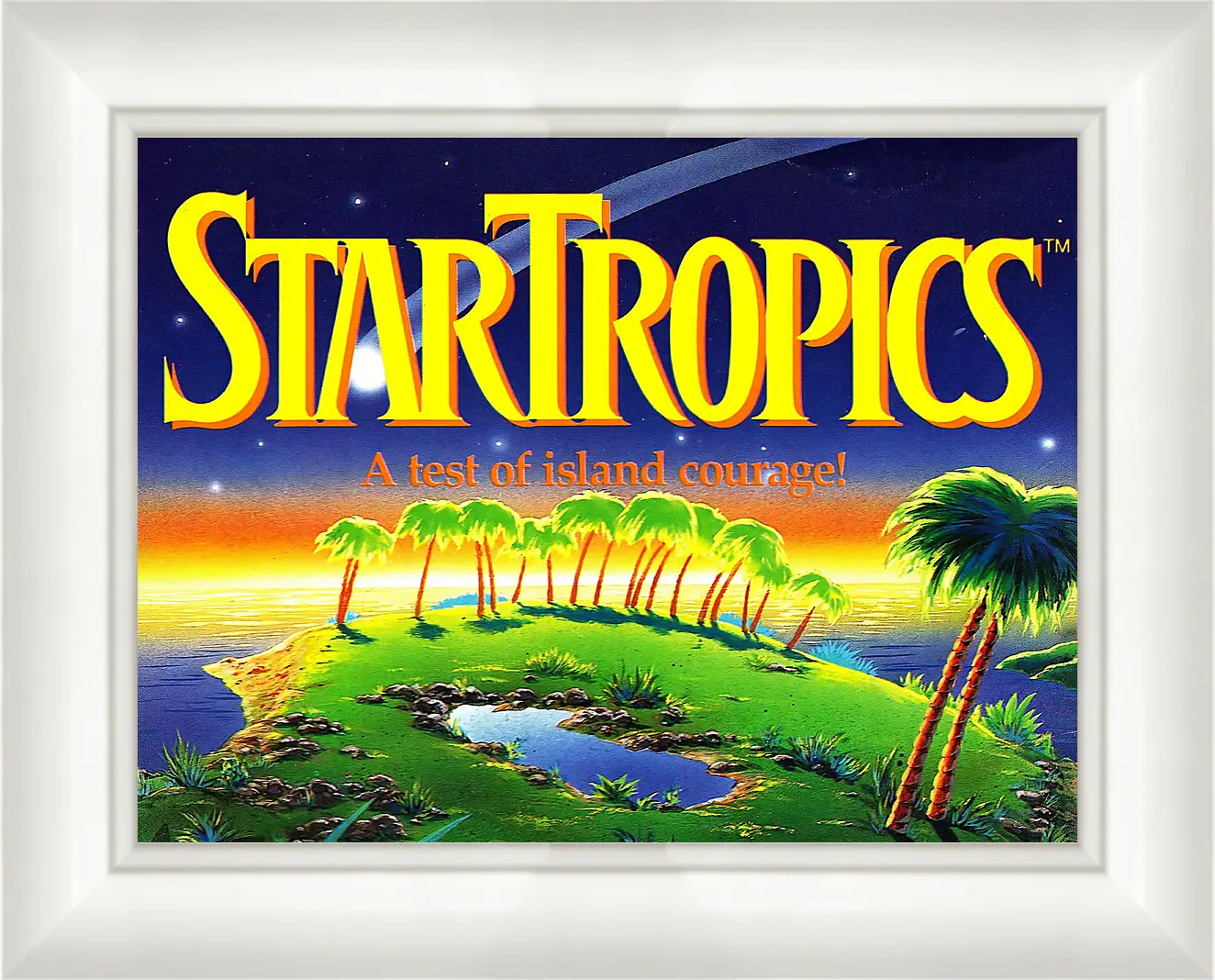 Картина в раме - Star Tropics
