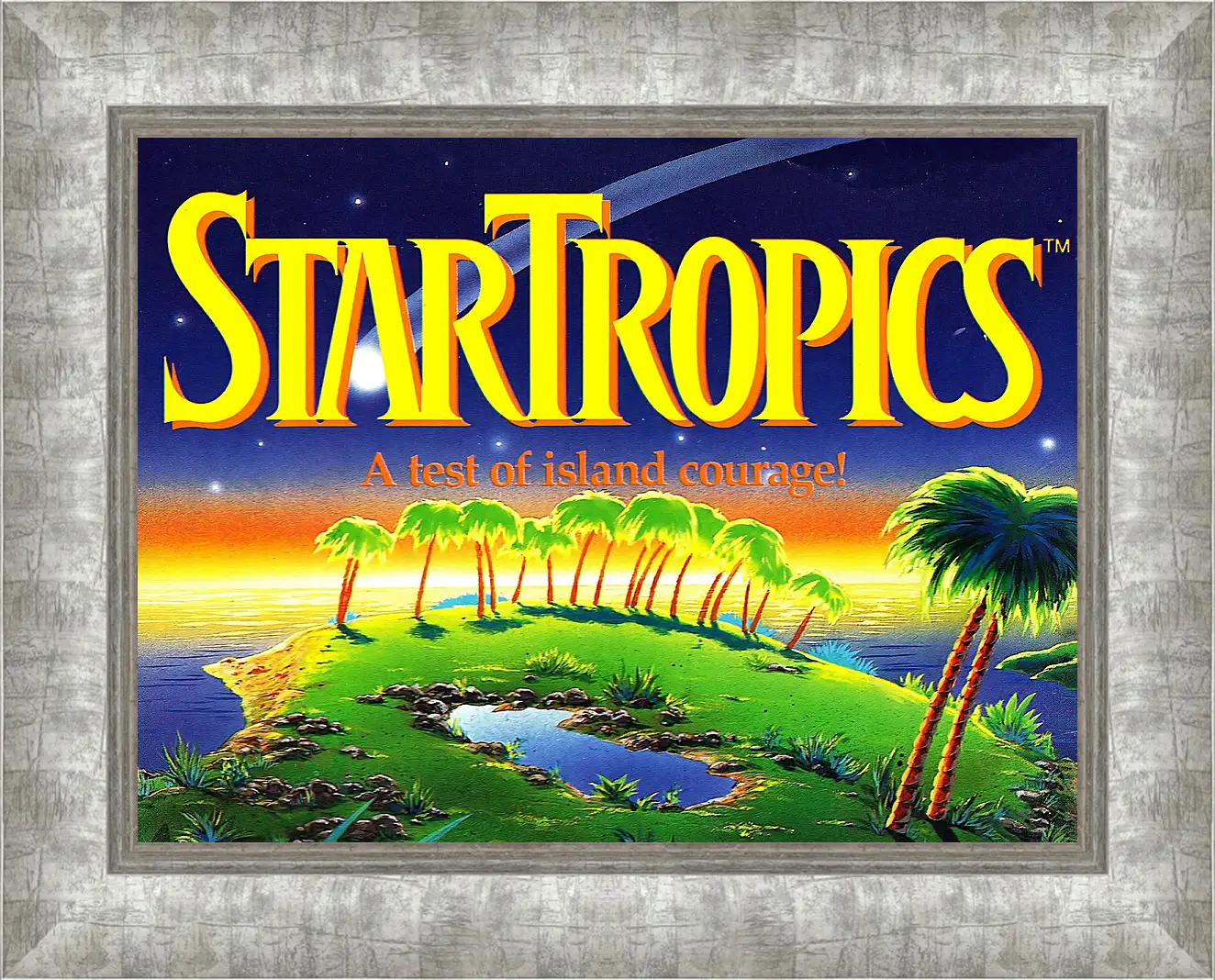 Картина в раме - Star Tropics
