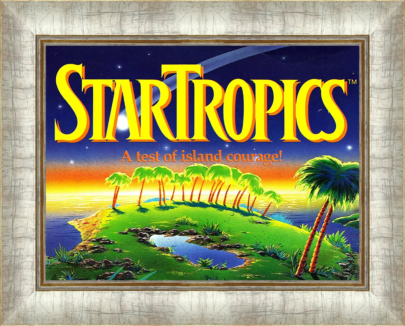 Картина в раме - Star Tropics
