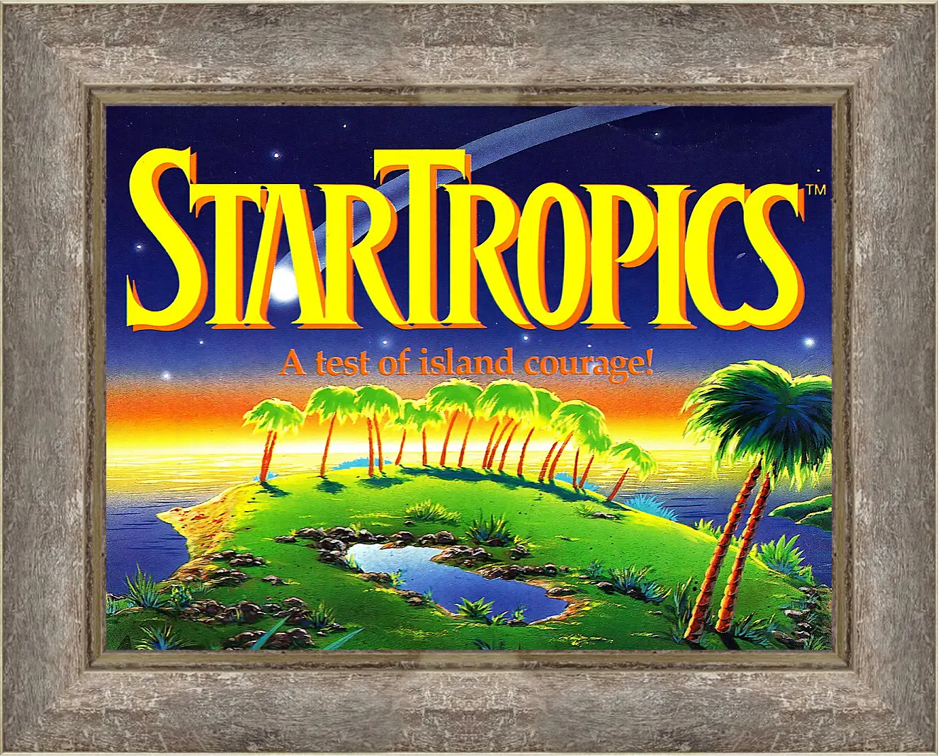 Картина в раме - Star Tropics
