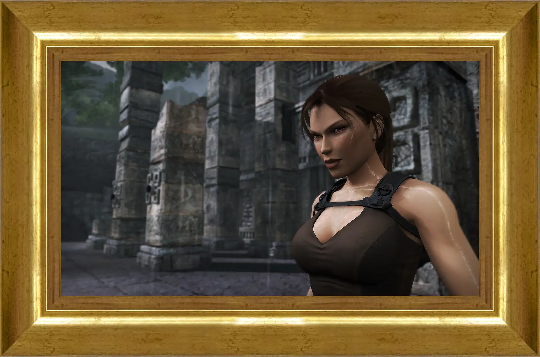 Картина в раме - Tomb Raider