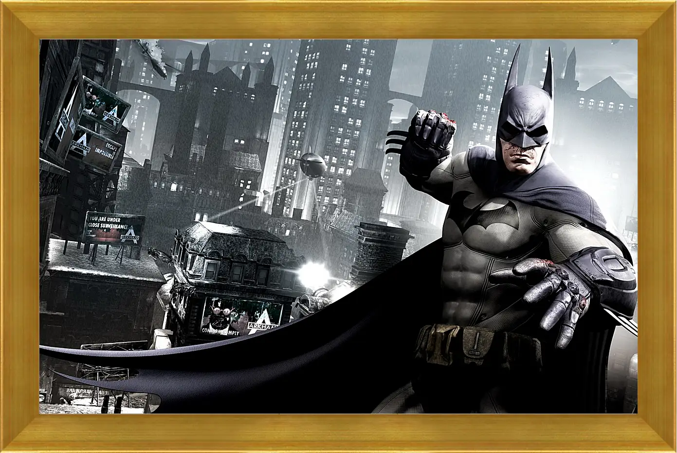 Картина в раме - Batman: Arkham City