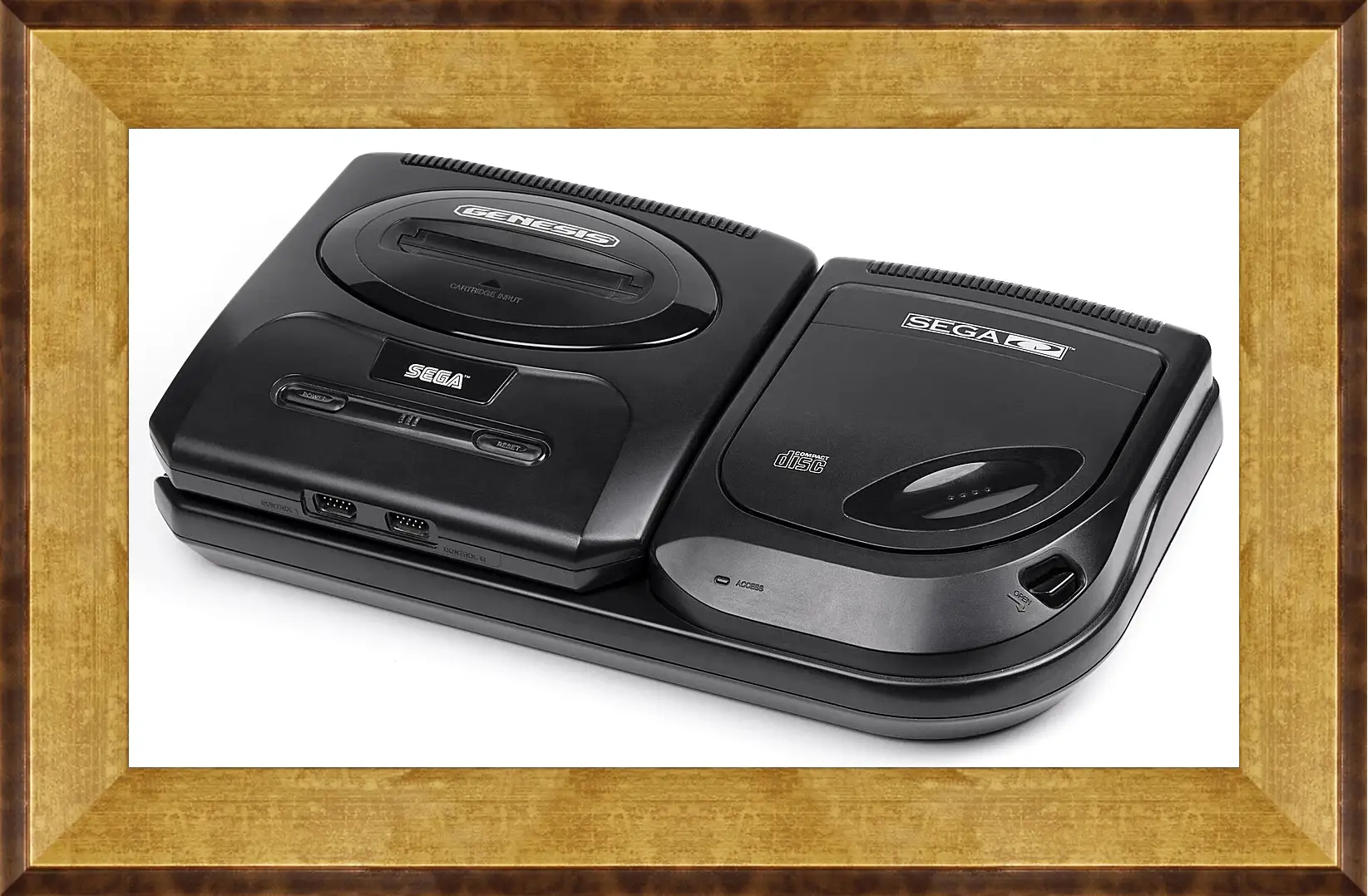 Картина в раме - Sega Mega-cd
