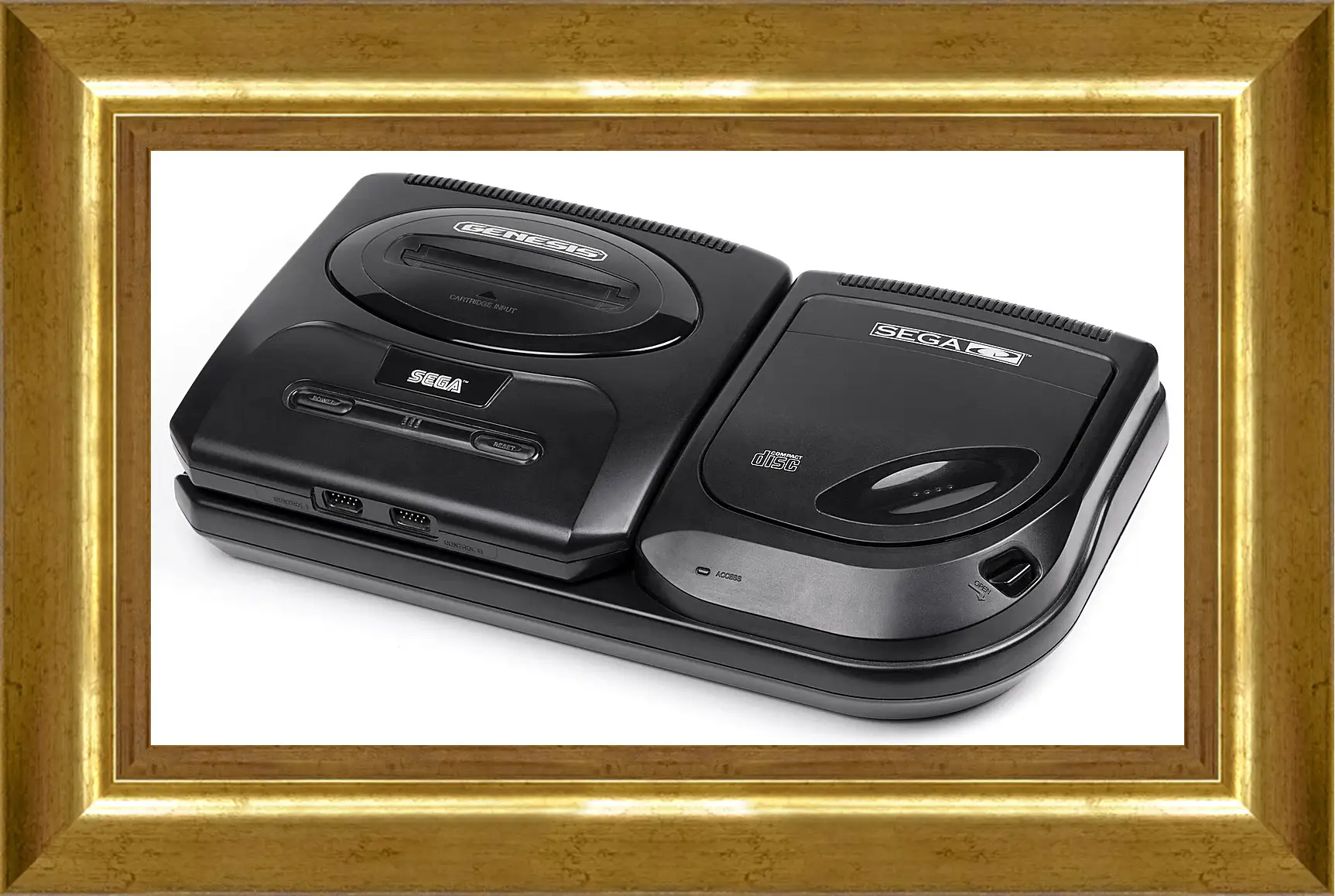 Картина в раме - Sega Mega-cd
