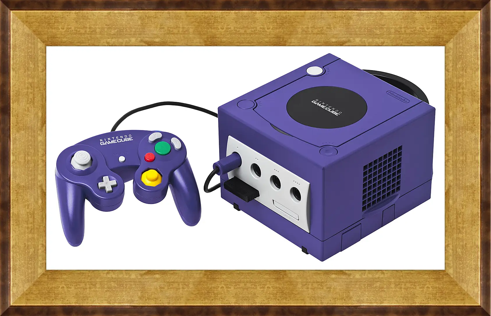 Картина в раме - Gamecube
