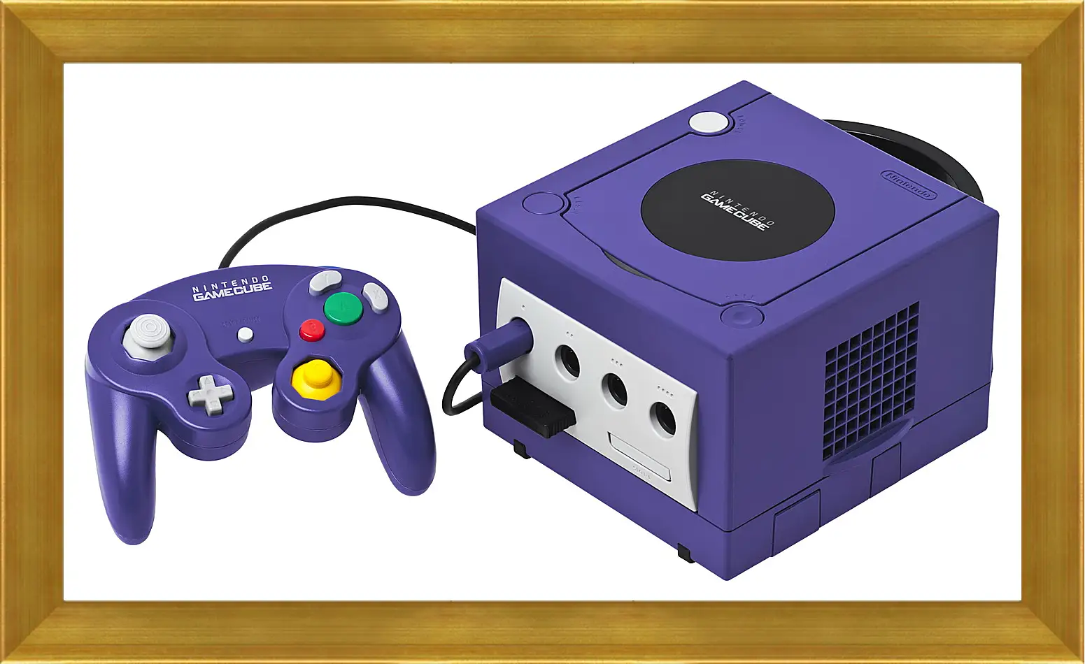 Картина в раме - Gamecube
