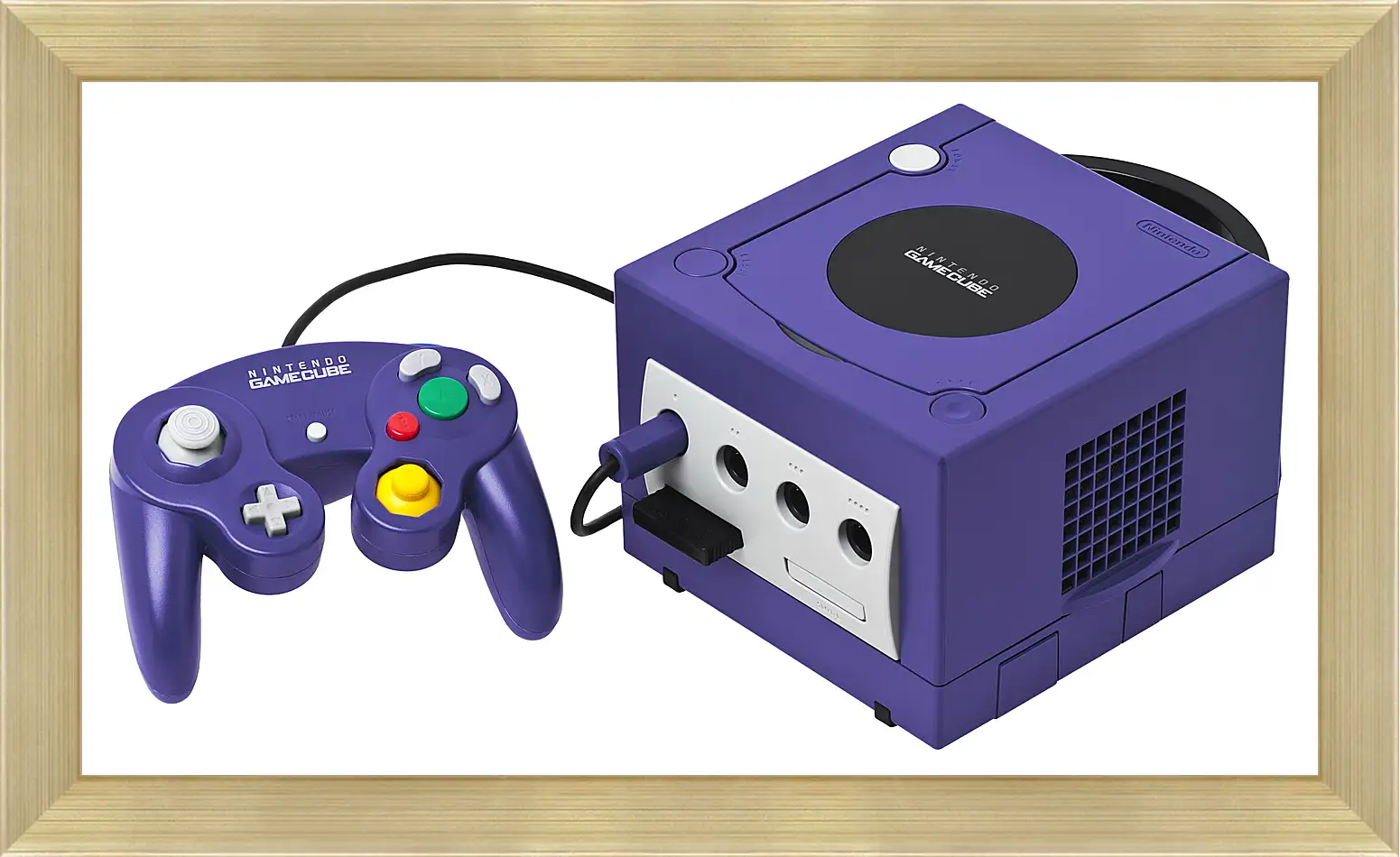 Картина в раме - Gamecube
