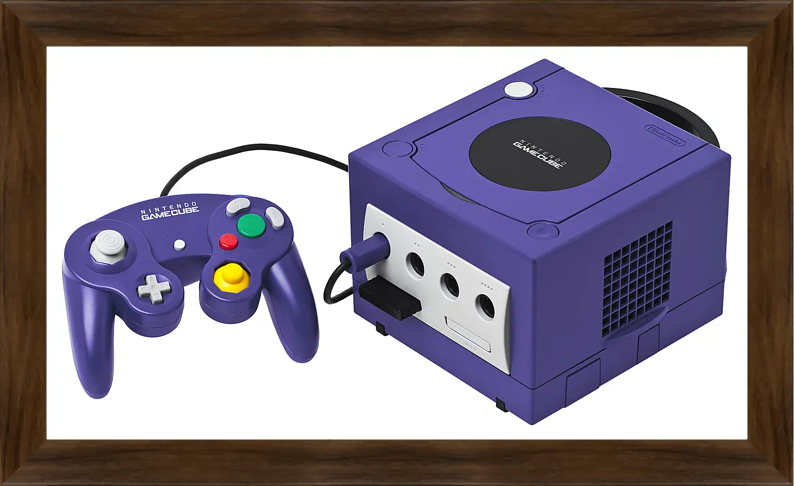 Картина в раме - Gamecube
