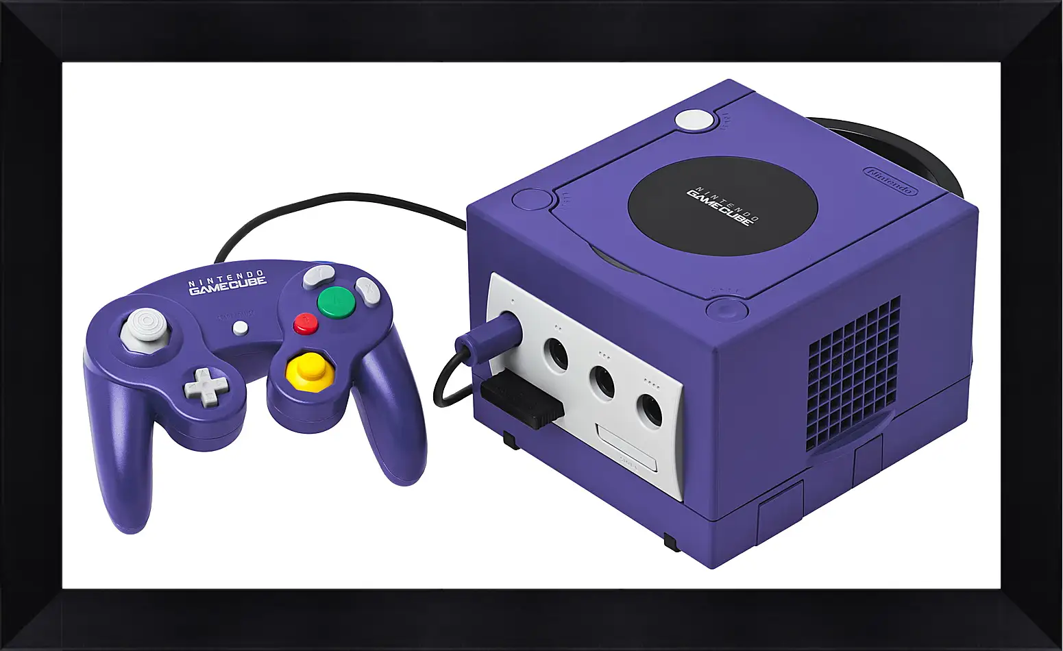 Картина в раме - Gamecube
