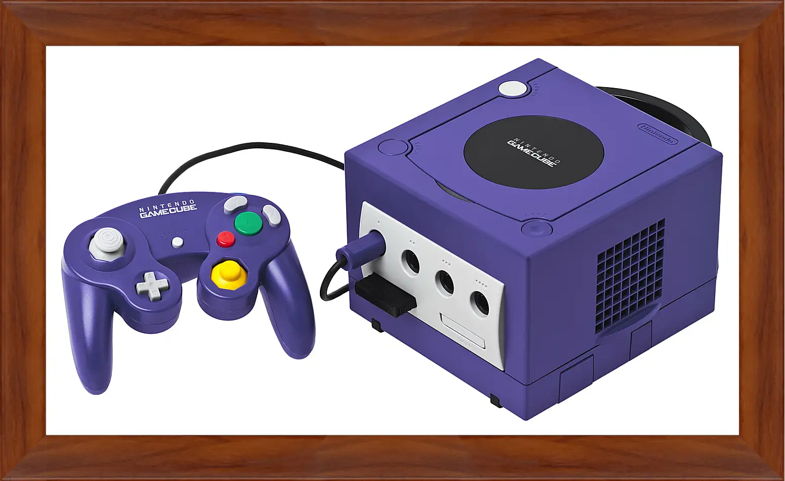 Картина в раме - Gamecube
