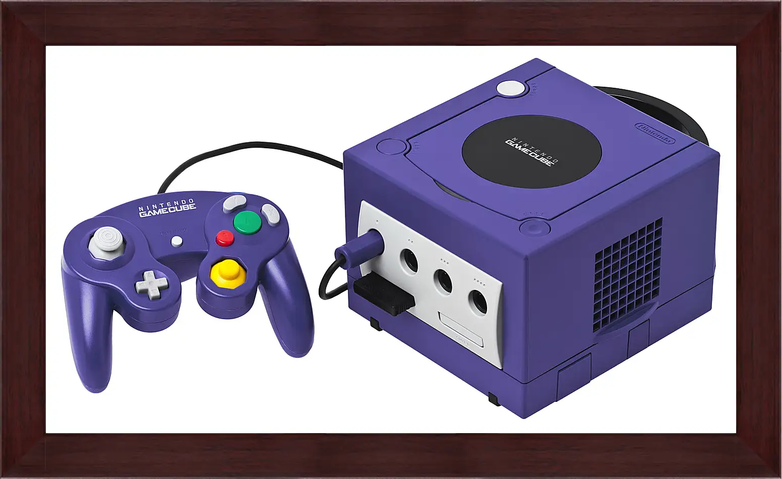 Картина в раме - Gamecube
