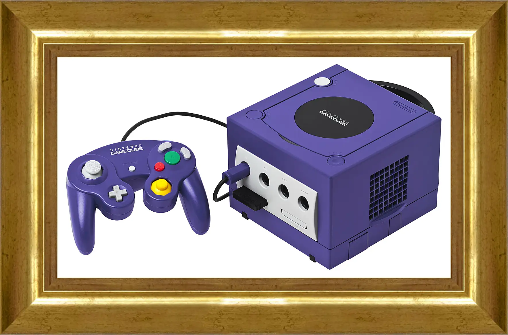 Картина в раме - Gamecube
