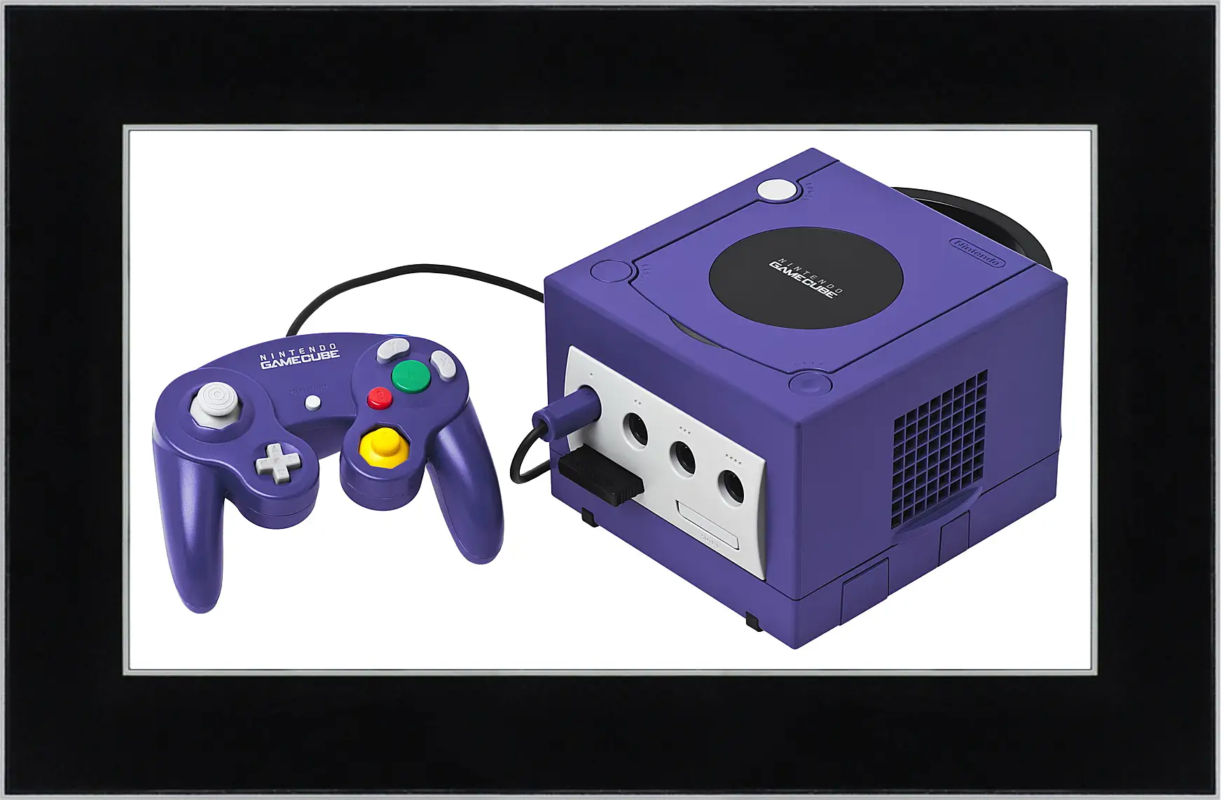Картина в раме - Gamecube
