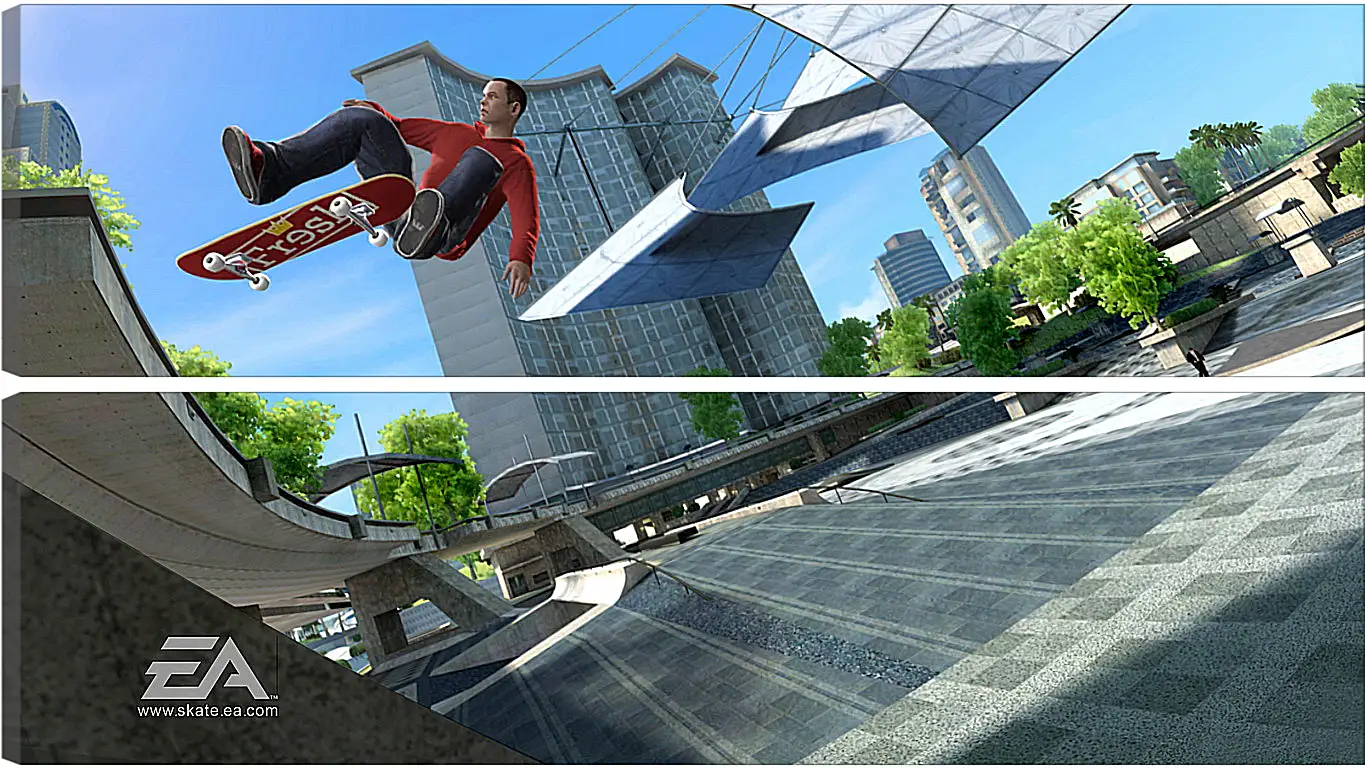 Модульная картина - Skate 3
