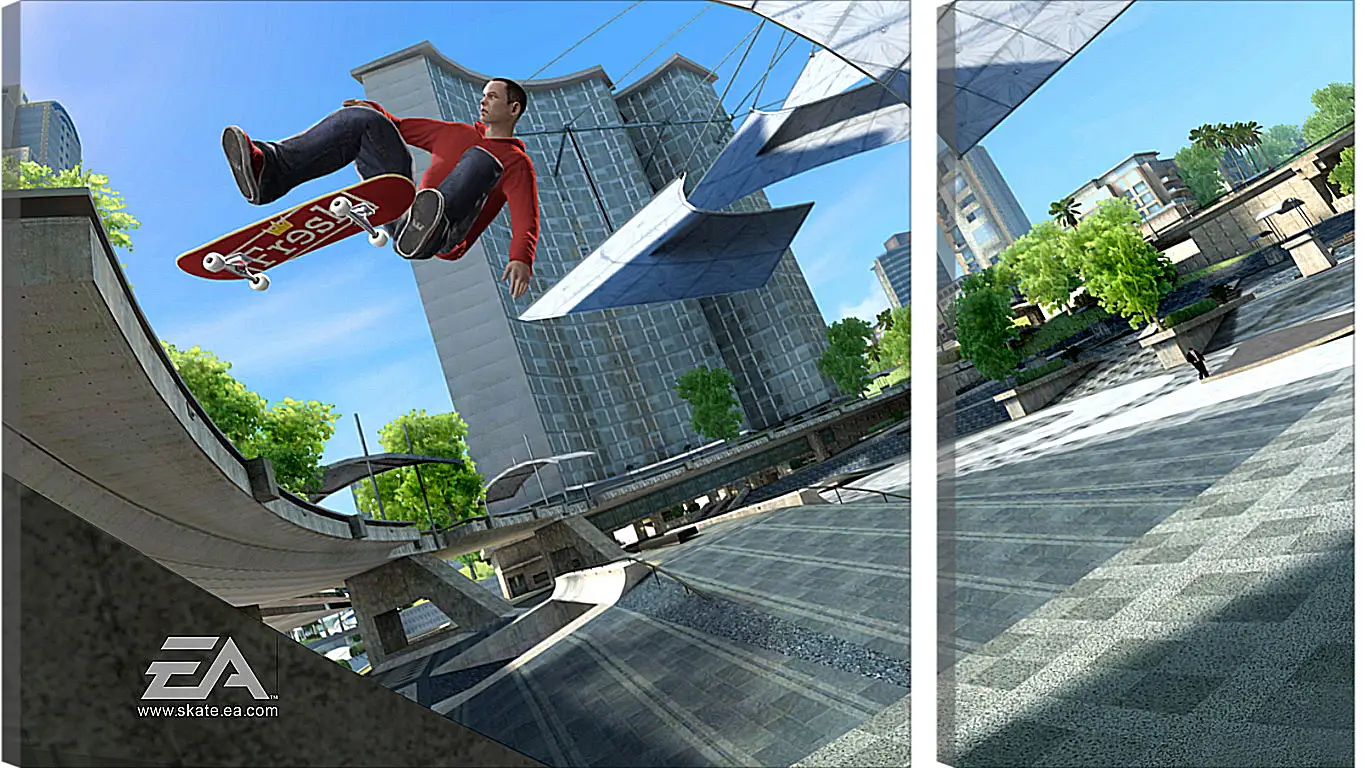 Модульная картина - Skate 3
