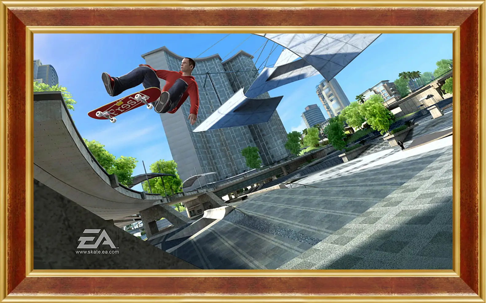 Картина в раме - Skate 3
