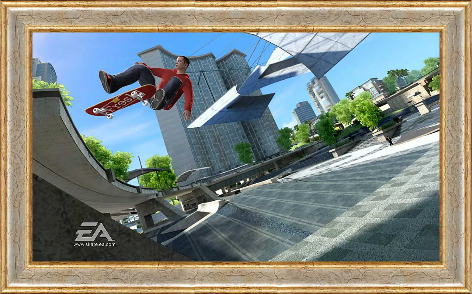 Картина в раме - Skate 3
