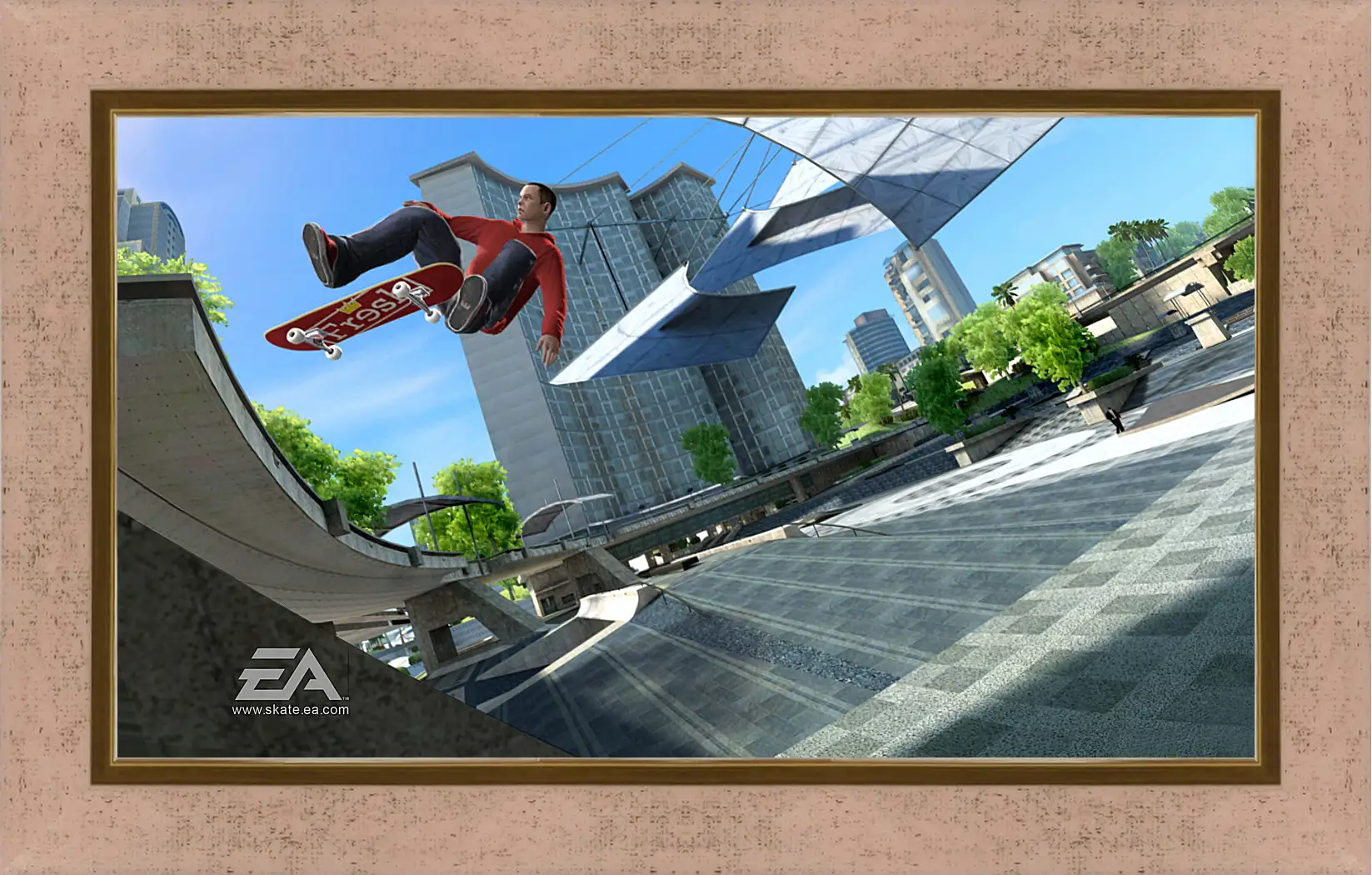 Картина в раме - Skate 3
